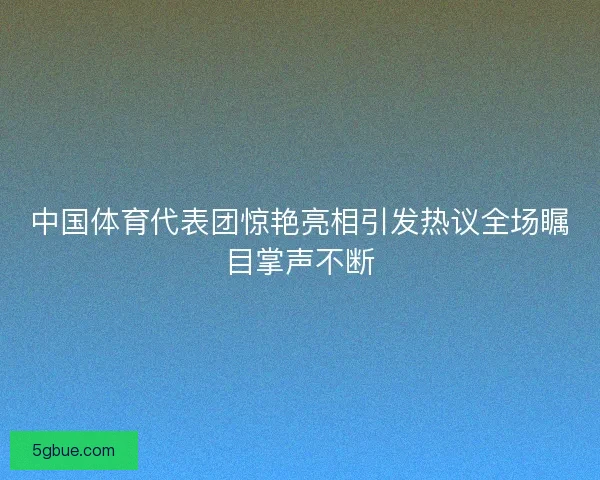 中国体育代表团惊艳亮相引发热议全场瞩目掌声不断
