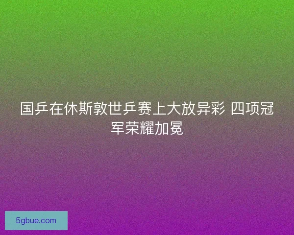 国乒在休斯敦世乒赛上大放异彩 四项冠军荣耀加冕