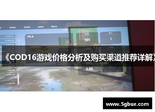 《COD16游戏价格分析及购买渠道推荐详解》