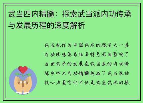 武当四内精髓：探索武当派内功传承与发展历程的深度解析